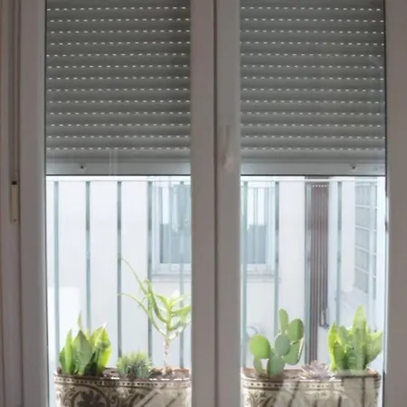 Cadizz-atico El Falla Con Terraza De 40m2