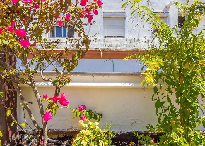 Cadizz-atico El Falla Con Terraza De 40m2 Cádiz