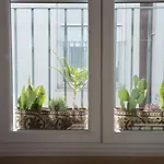 Cadizz-atico El Falla Con Terraza De 40m2 *