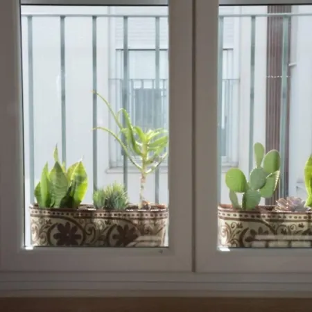 Cadizz-atico El Falla Con Terraza De 40m2 *