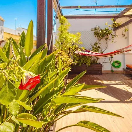 Cadizz-atico El Falla Con Terraza De 40m2 * 加的斯