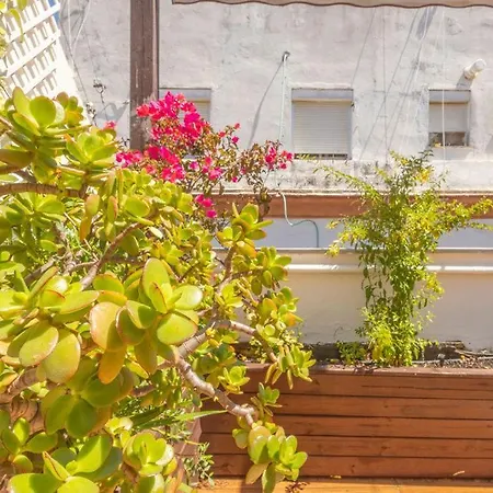 Cadizz-atico El Falla Con Terraza De 40m2 Apartment *