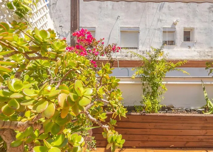 Cadizz-atico El Falla Con Terraza De 40m2 Apartment *